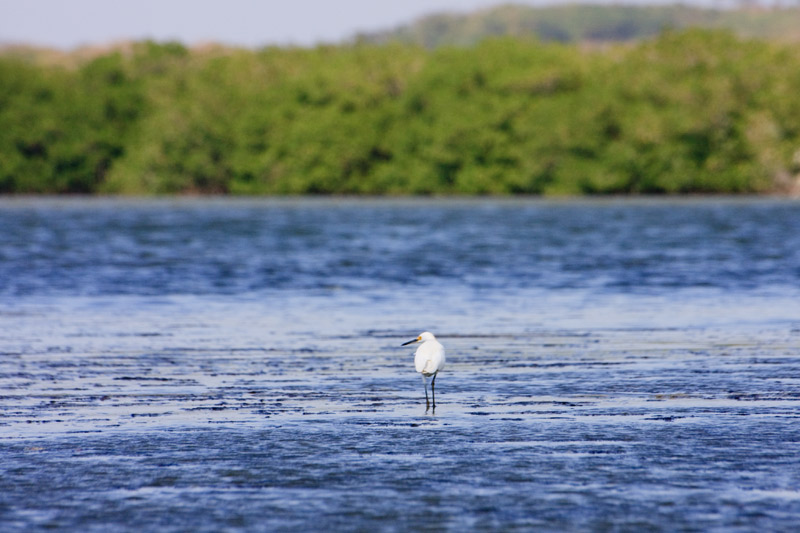 peisaj din delta