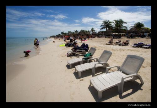 plaja in progreso