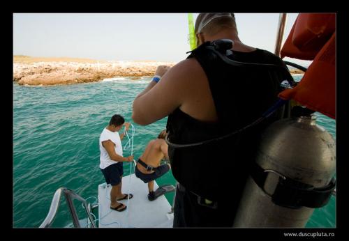 diving