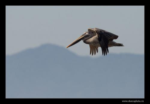 100-400mm