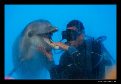 underwater