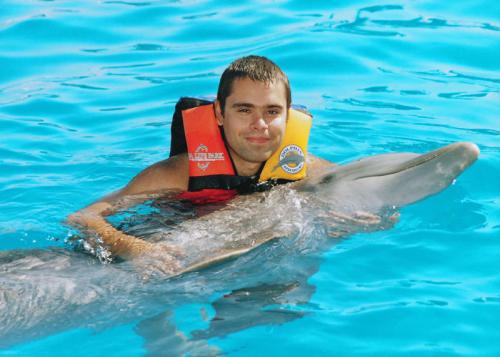 dolphin hug