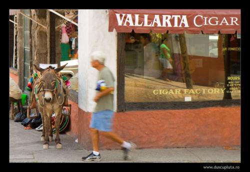 Vallarta cigar